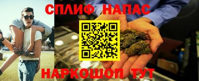 шишки Жуковский