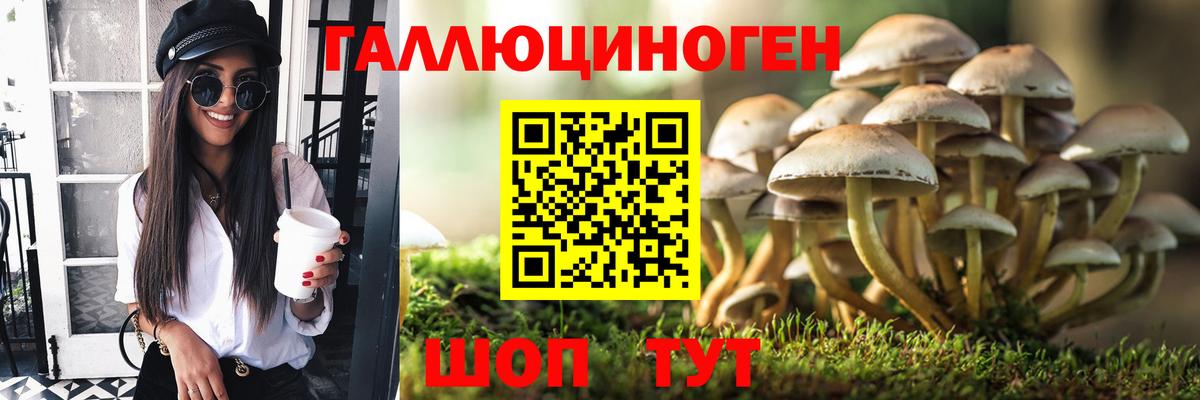 как найти закладки  Вход с VPN  Михайловка  Псилоцибиновые грибы Cubensis 